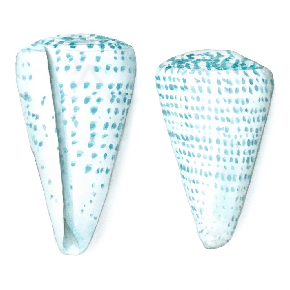 Art Print: Watercolor Shells VIII