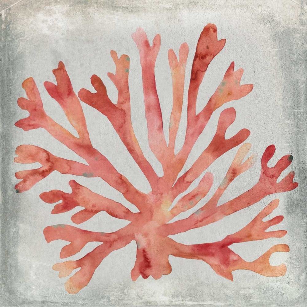 Art Print: Watercolor Coral III