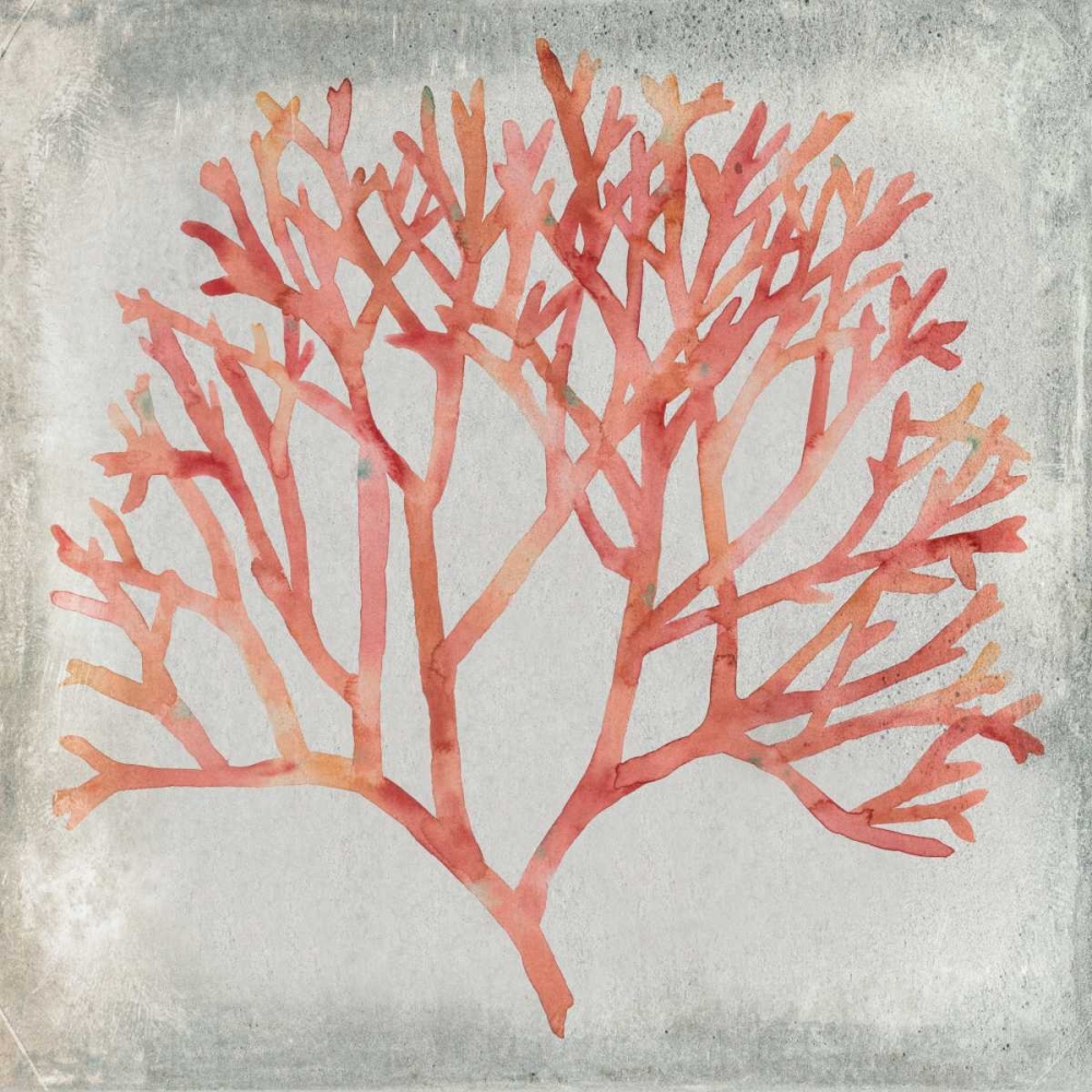 Art Print: Watercolor Coral IV