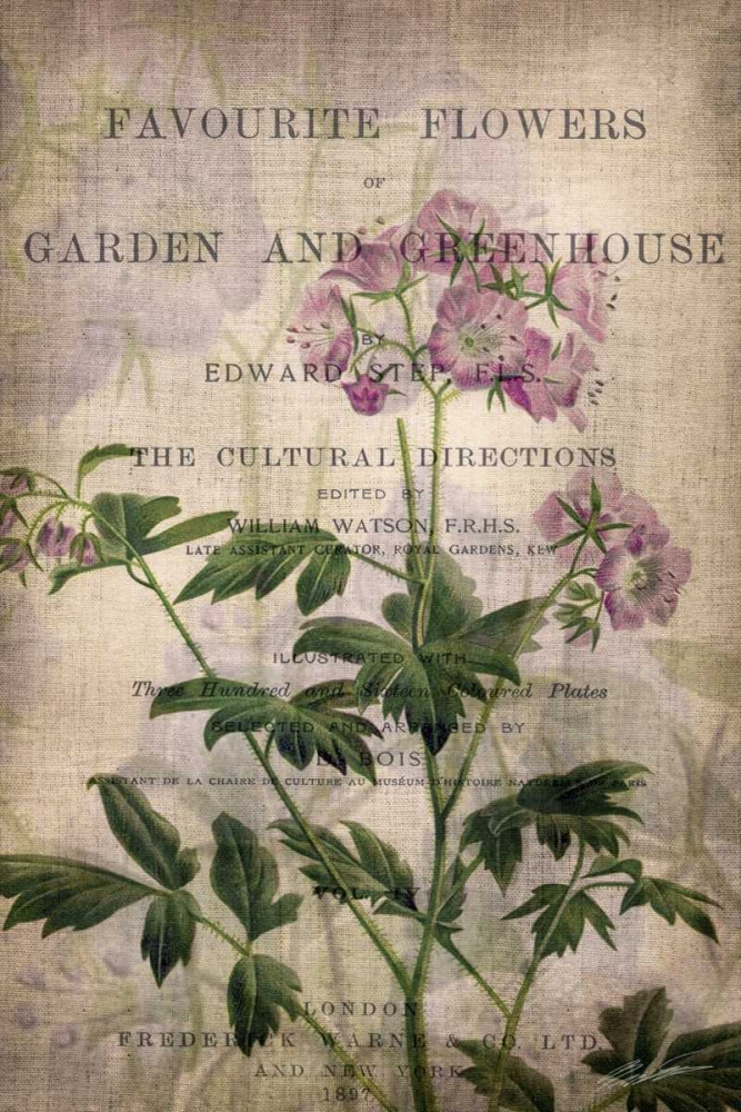 Art Print: Favorite Flowers IV