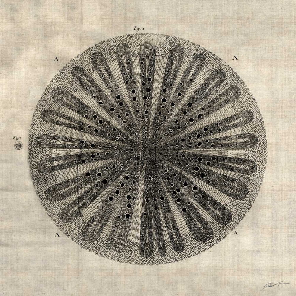 Art Print: Cross Cut III