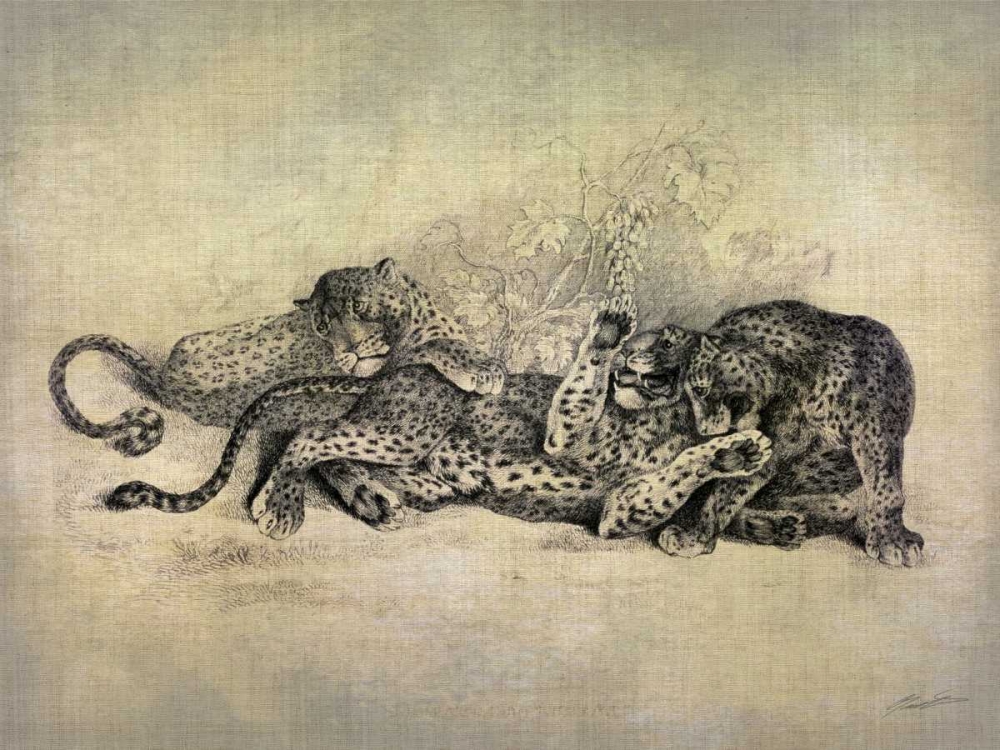 Wall art: Big Cats I, by Butler, John