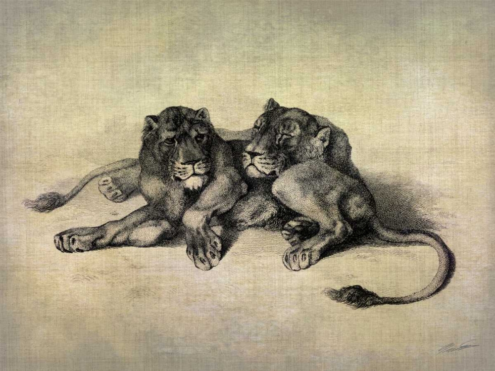 Wall art: Big Cats III, by Butler, John