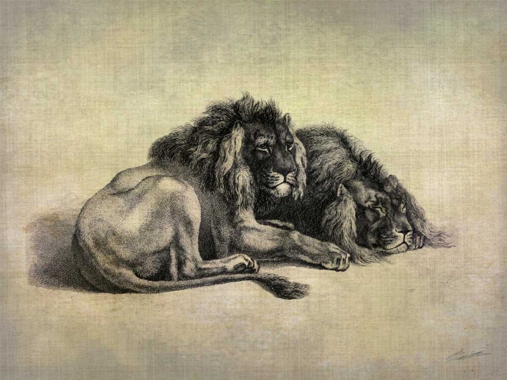 Wall art: Big Cats IV, by Butler, John