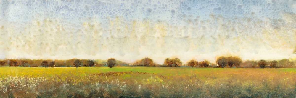 Wall Art Painting id:50045, Name: Flowering Meadow II, Artist: OToole, Tim