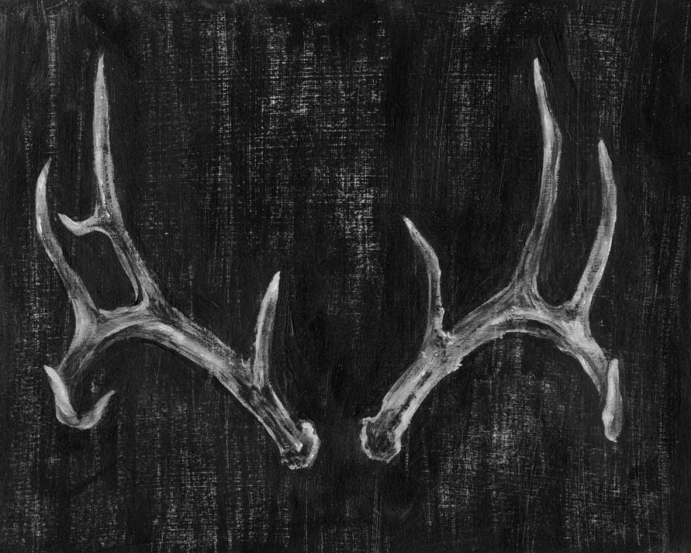 Art Print: Rustic Antlers II