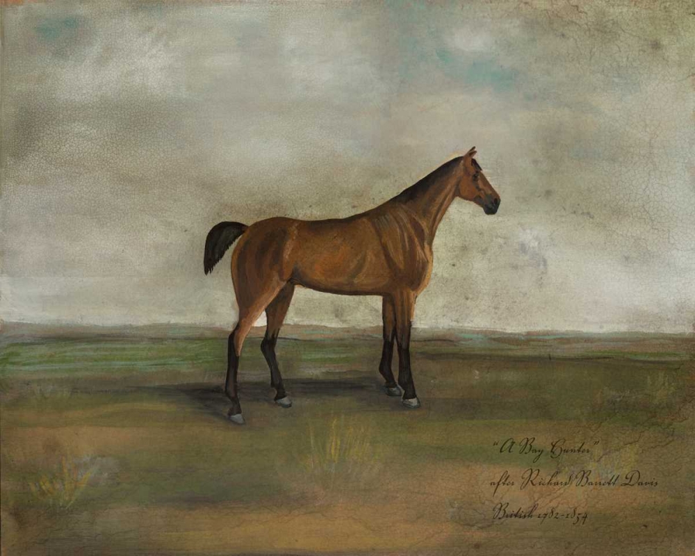 Wall Art Painting id:50356, Name: A Bay Hunter, Artist: McCavitt, Naomi