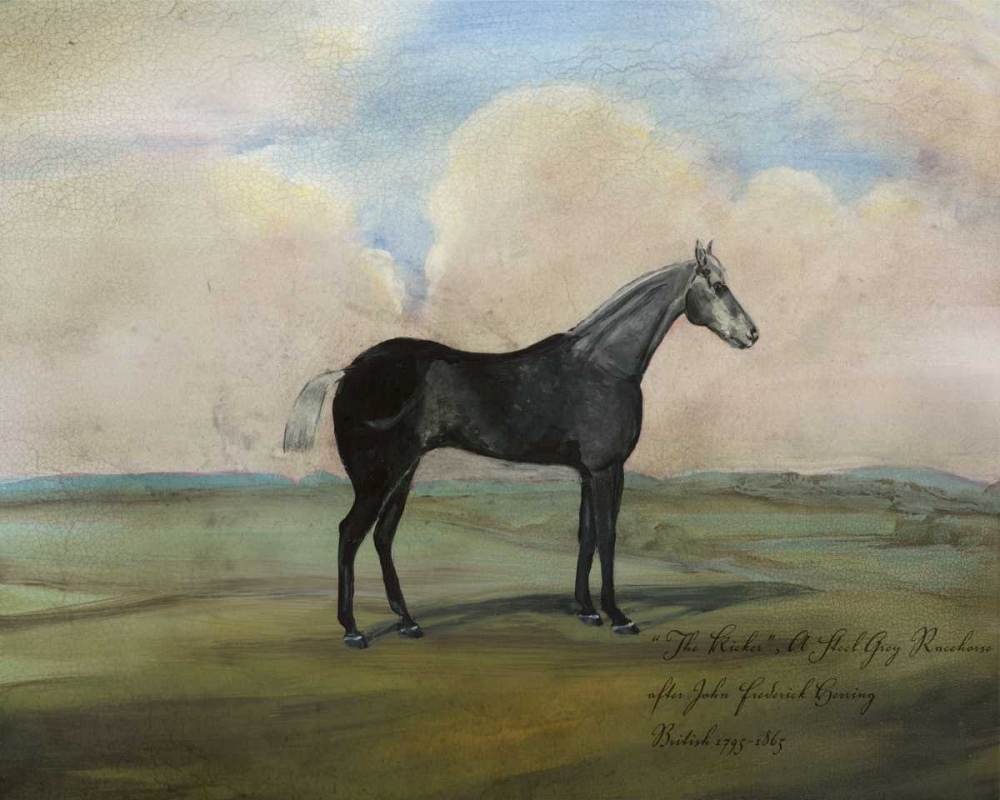 Wall Art Painting id:50358, Name: The Kicker- A Steel Grey Racehorse, Artist: McCavitt, Naomi