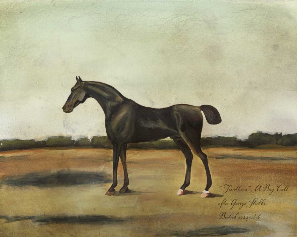 Wall Art Painting id:50361, Name: Trentham- A Bay Colt, Artist: McCavitt, Naomi