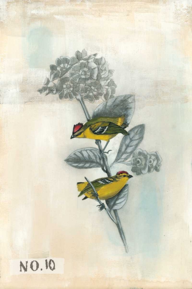 Wall Art Painting id:50346, Name: After Flight II, Artist: McCavitt, Naomi