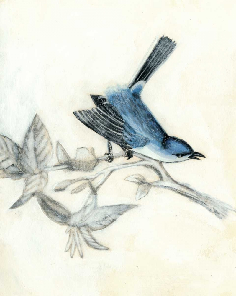 Wall Art Painting id:50351, Name: Rustic Aviary III, Artist: McCavitt, Naomi