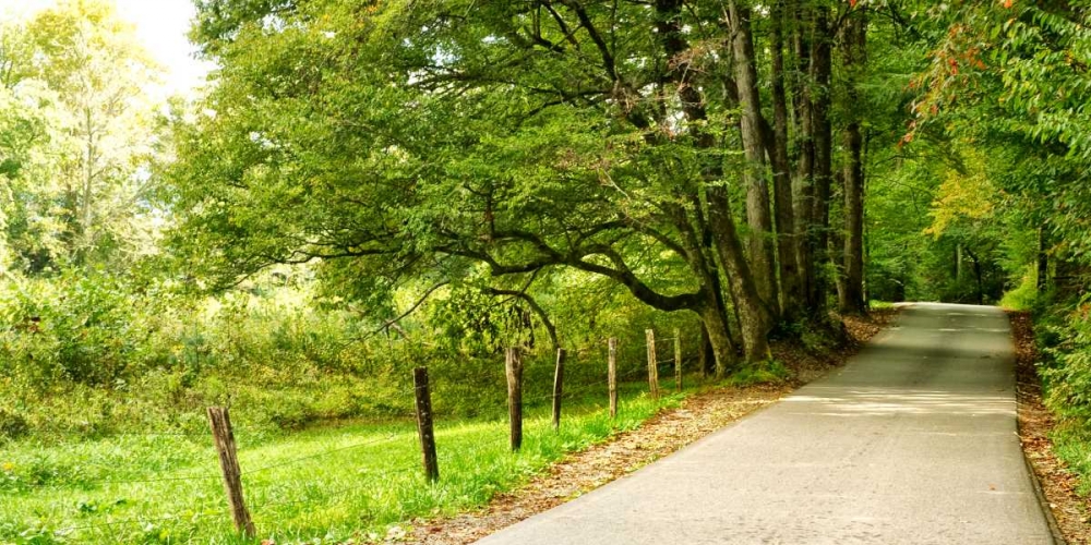 Art Print: Over the Next Hill