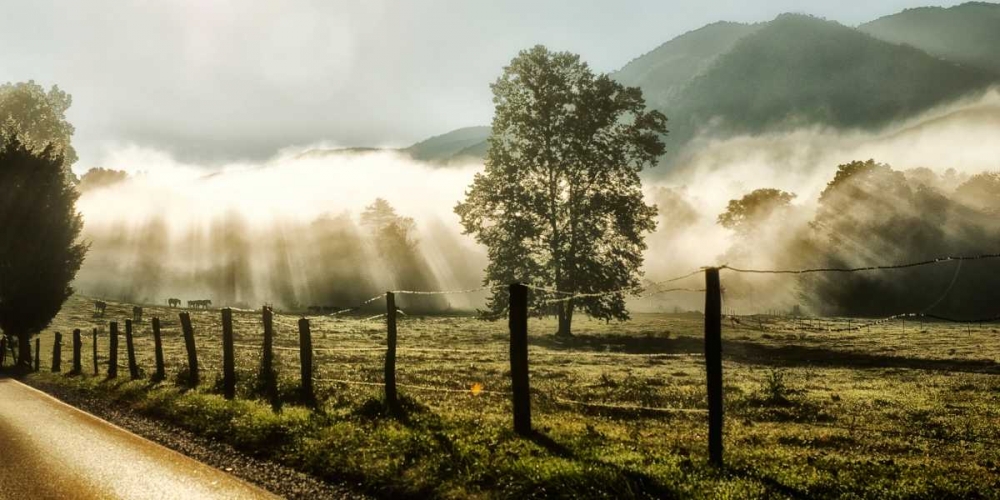 Art Print: Sunrise in Cades Cove