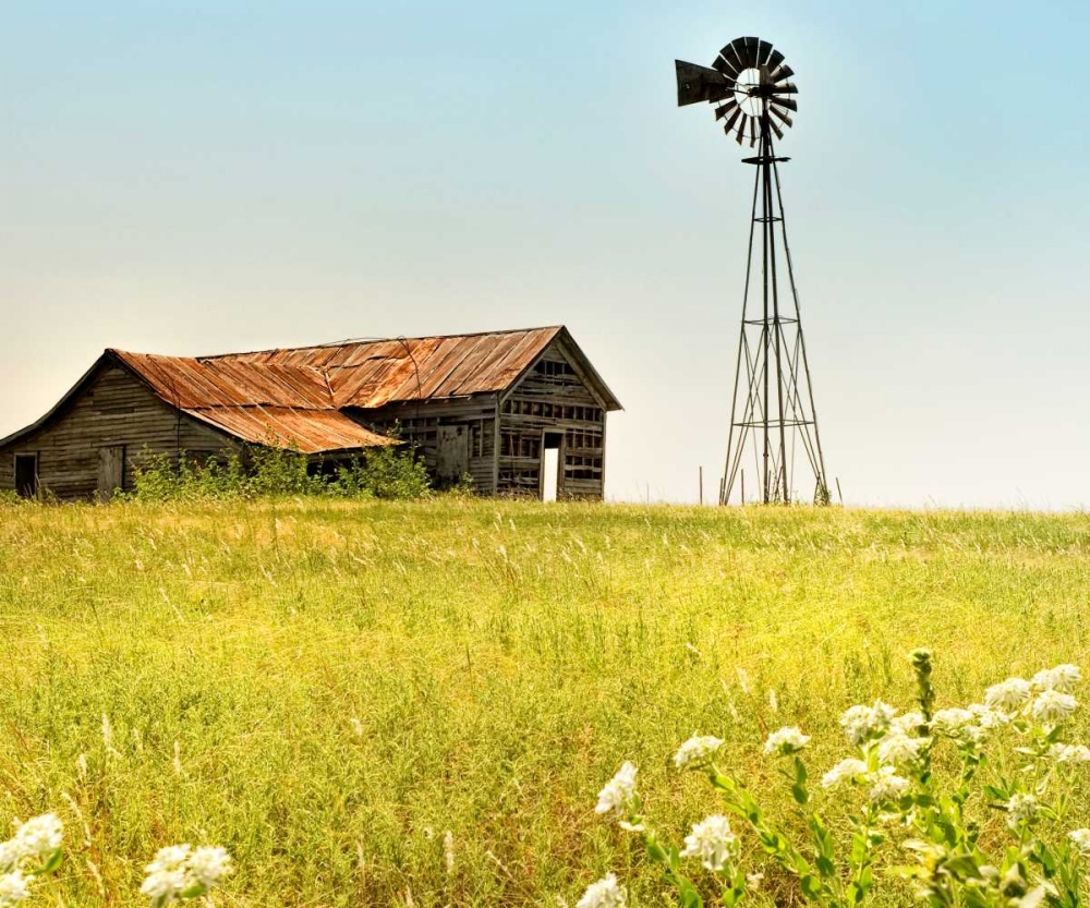 Art Print: Simple Times