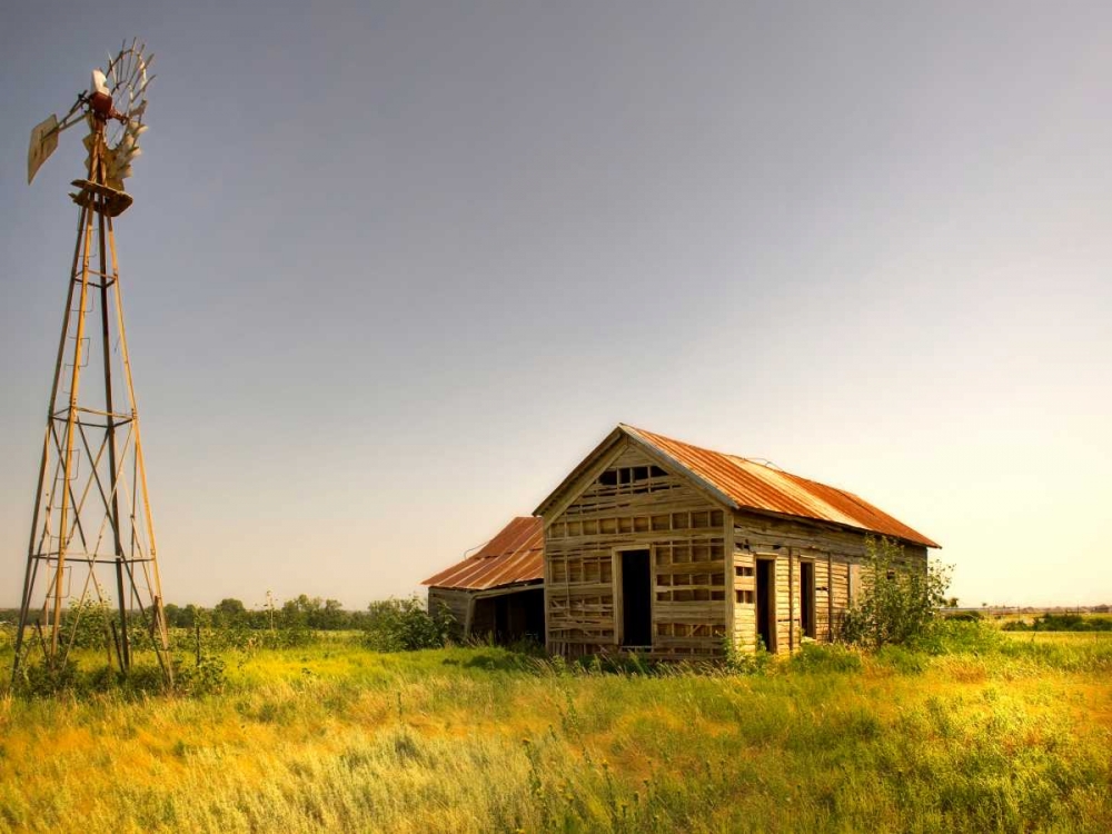 Art Print: Wasting Away