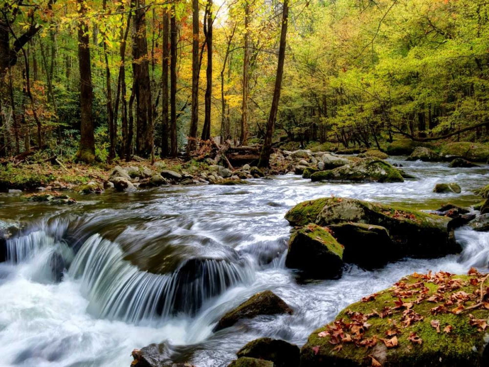 Art Print: Over Flow I