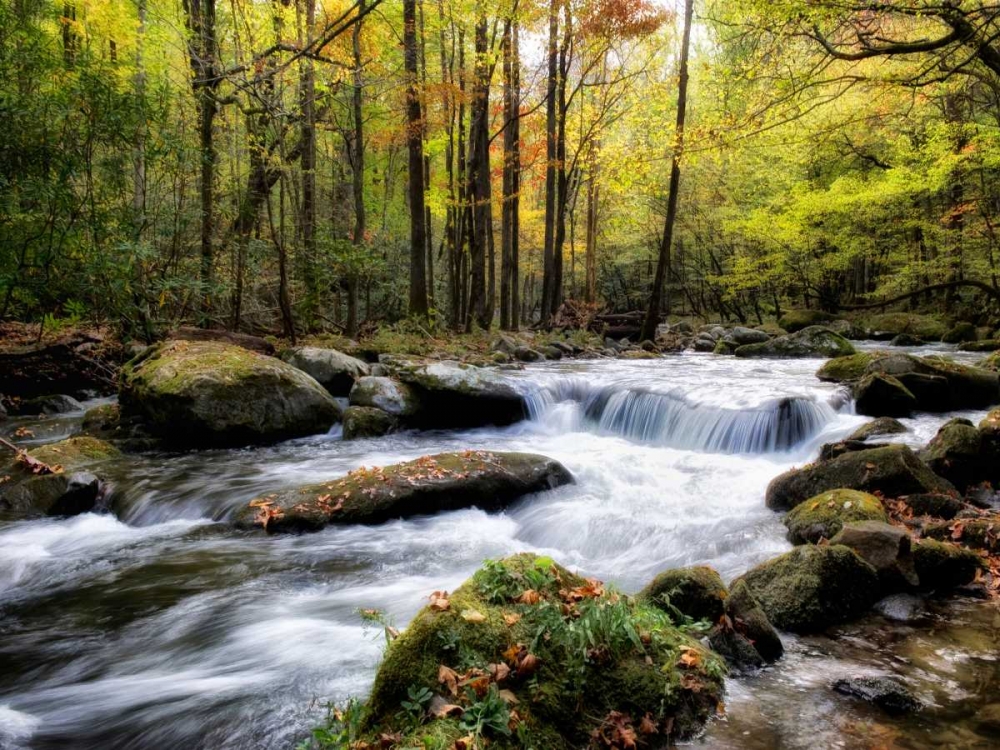 Art Print: Over Flow II