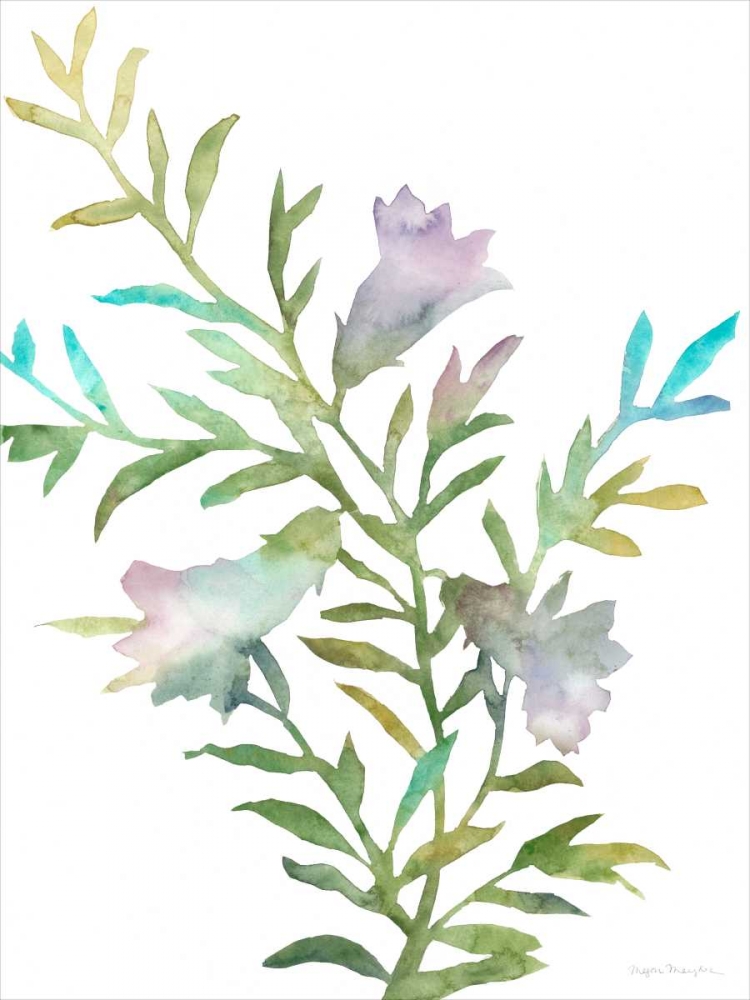 Art Print: Blooms for Nico II