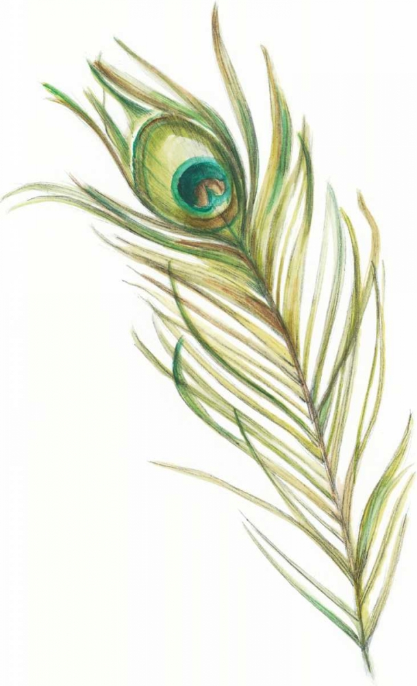Wall art: Watercolor Peacock Feather I, by Harper, Ethan