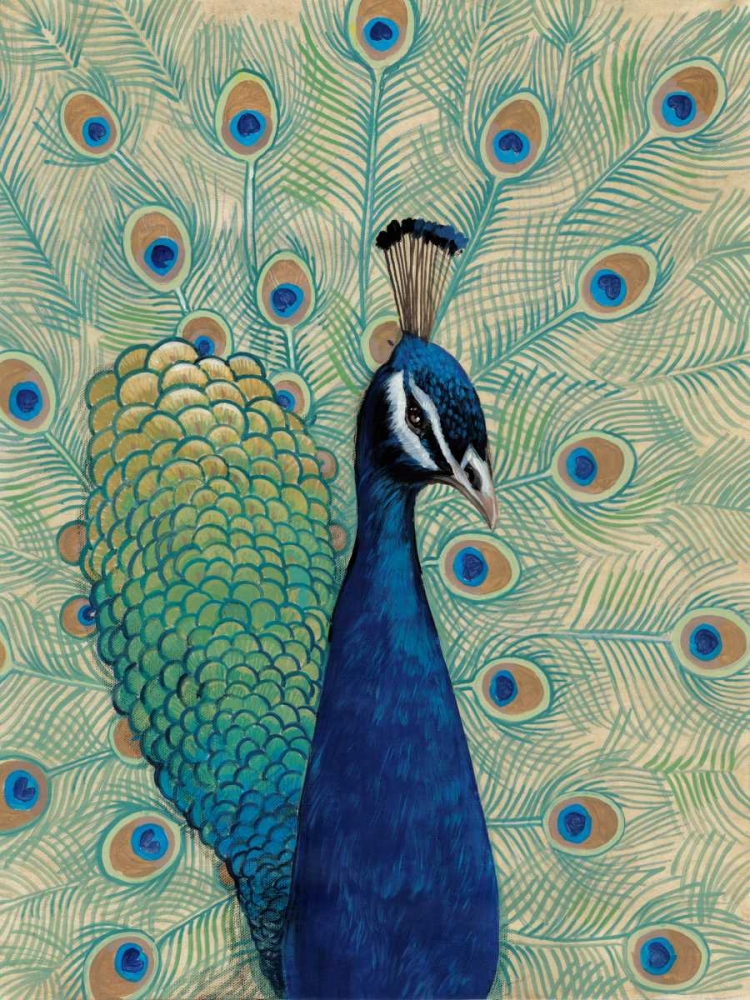 Wall Art Painting id:53263, Name: Blue Peacock I, Artist: OToole, Tim