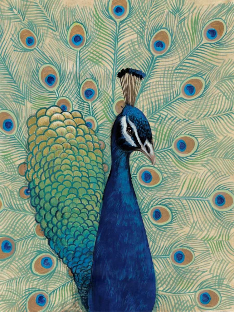 Wall art: Blue Peacock I, by OToole, Tim