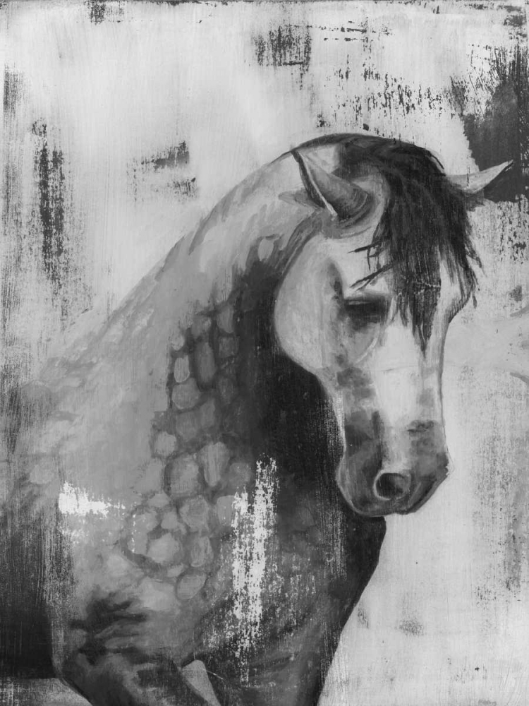 Wall art: Dappled Grey II, by McCavitt, Naomi