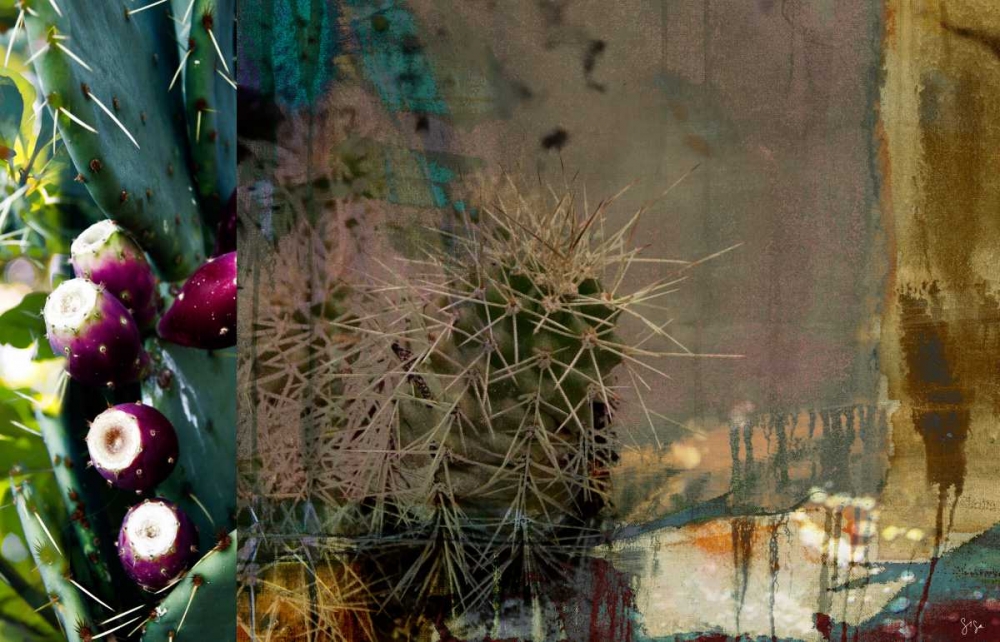 Wall Art Painting id:61272, Name: Texas Cactus Collage, Artist: Jasper, Sisa