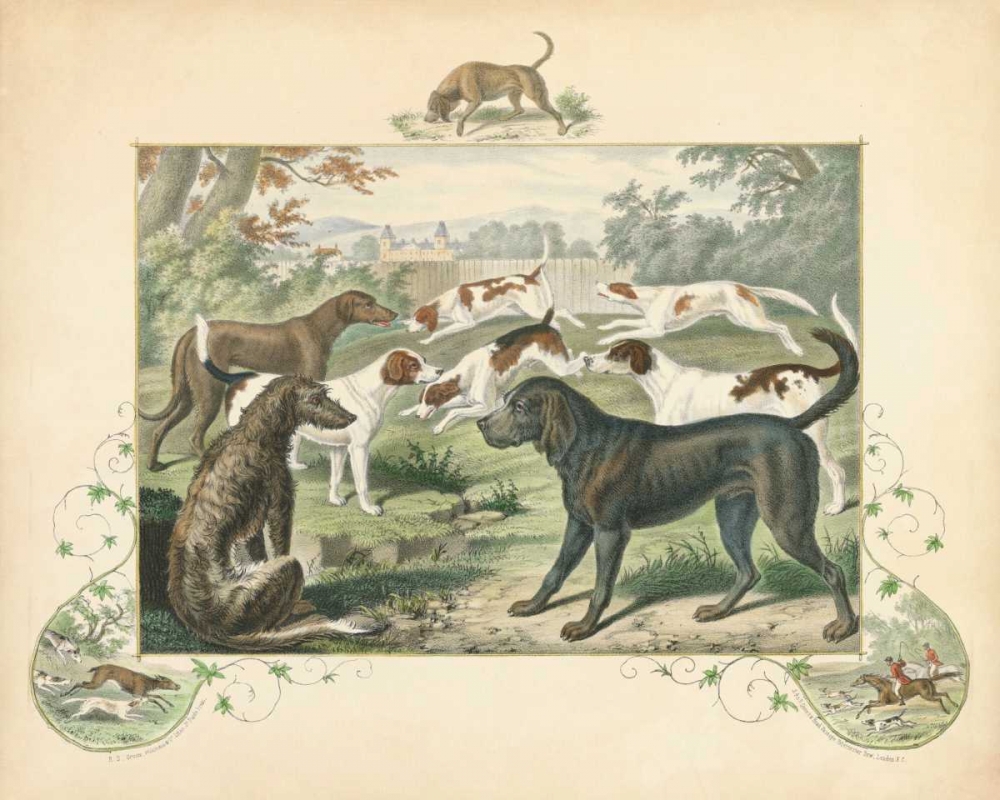 Wall art: A Group of Hounds, by Unknown