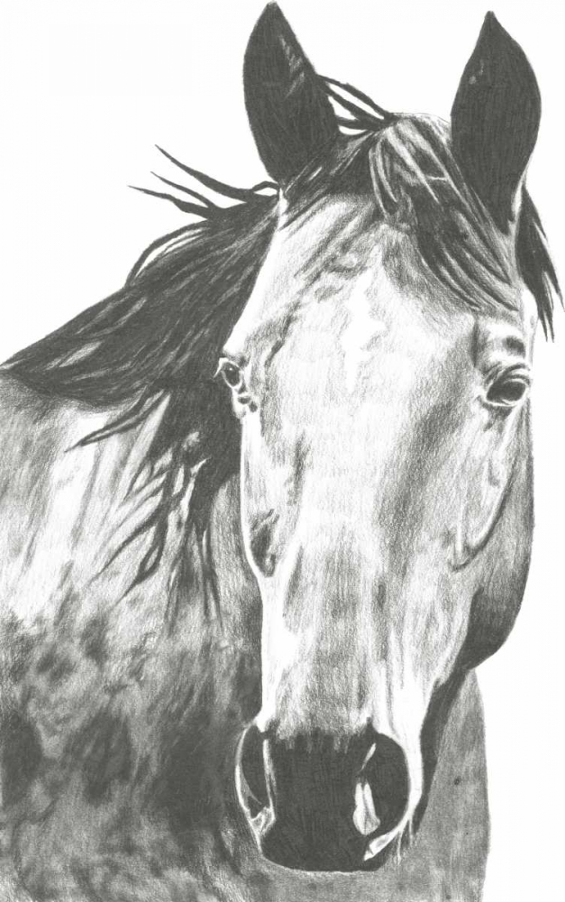 Wall Art Painting id:61378, Name: Wildlife Snapshot- Horse I, Artist: McCavitt, Naomi