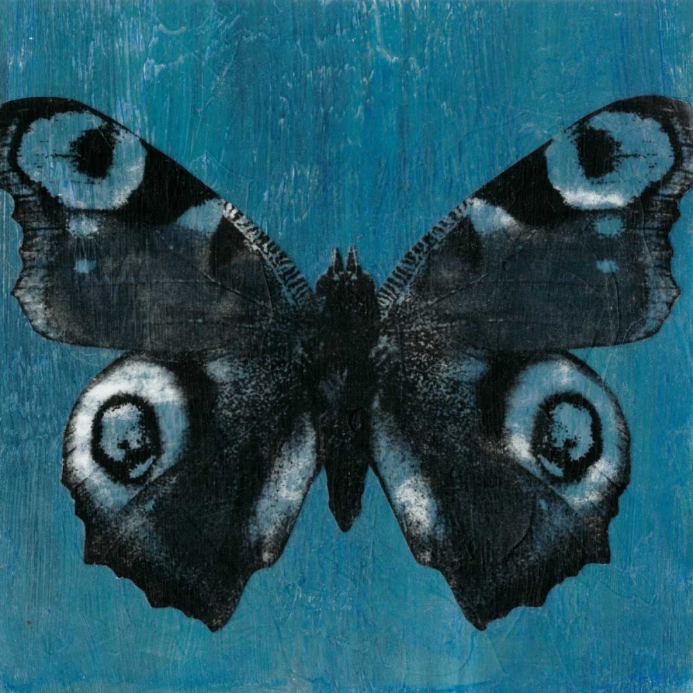 Wall Art Painting id:68597, Name: Chambray Butterflies I, Artist: McCavitt, Naomi