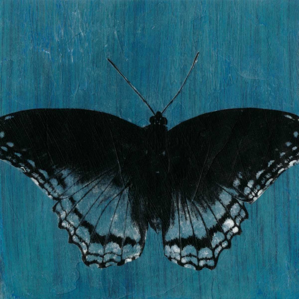 Wall Art Painting id:68598, Name: Chambray Butterflies II, Artist: McCavitt, Naomi
