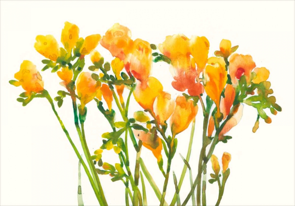 Wall Art Painting id:68608, Name: Freesia II, Artist: OToole, Tim