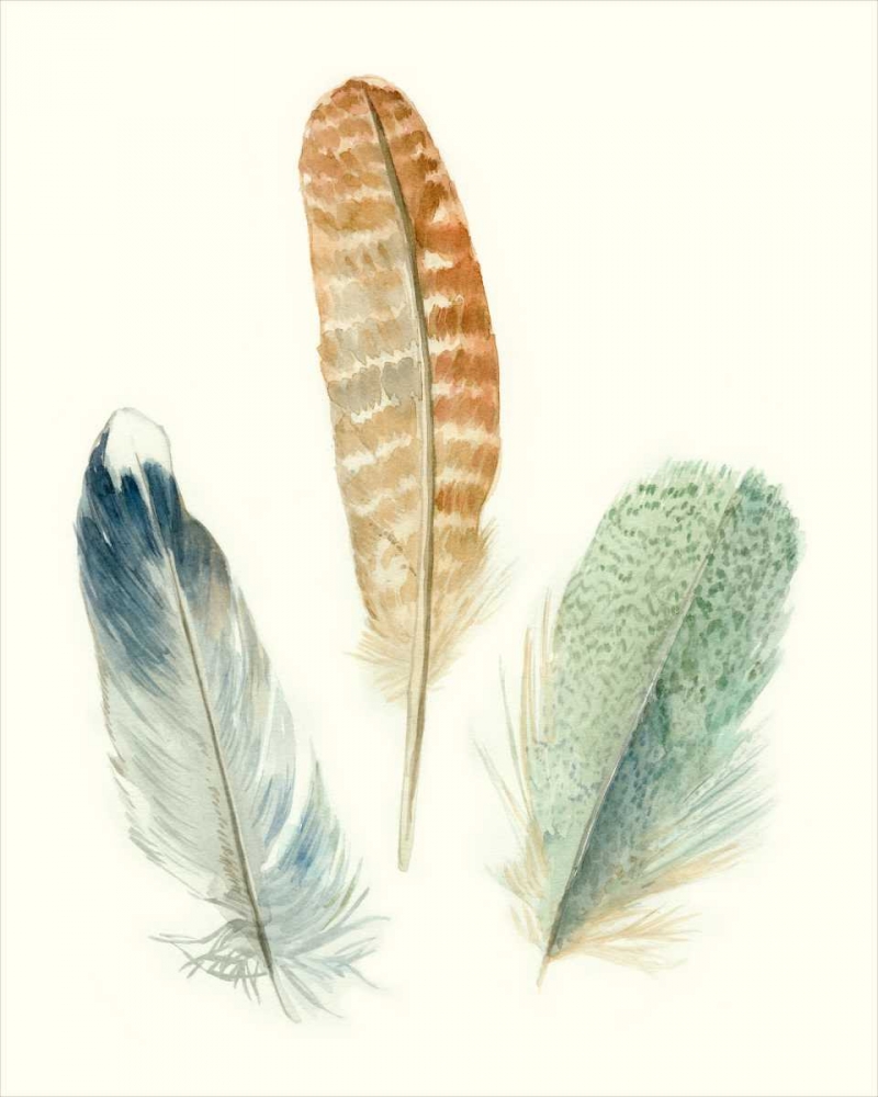 Wall Art Painting id:49979, Name: Watercolor Feathers IV, Artist: Marie, Meg