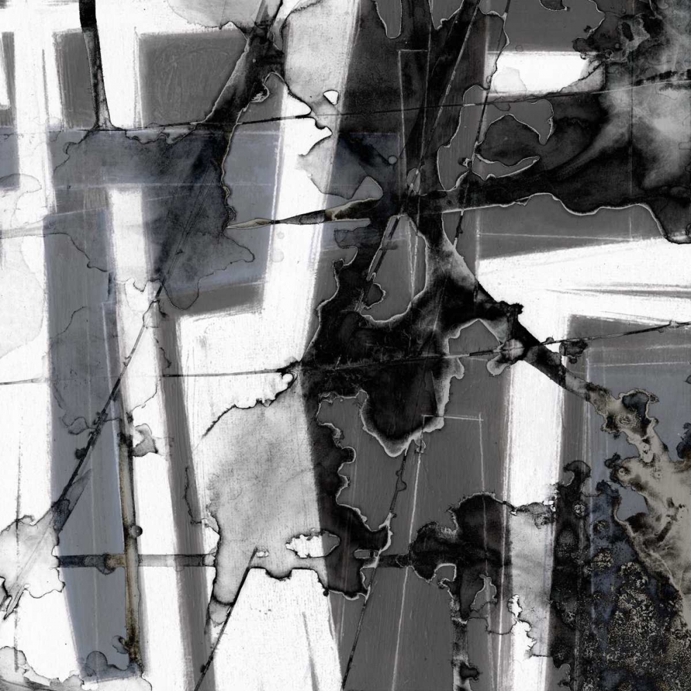 Wall art: In Motion IV, by Goldberger, Jennifer