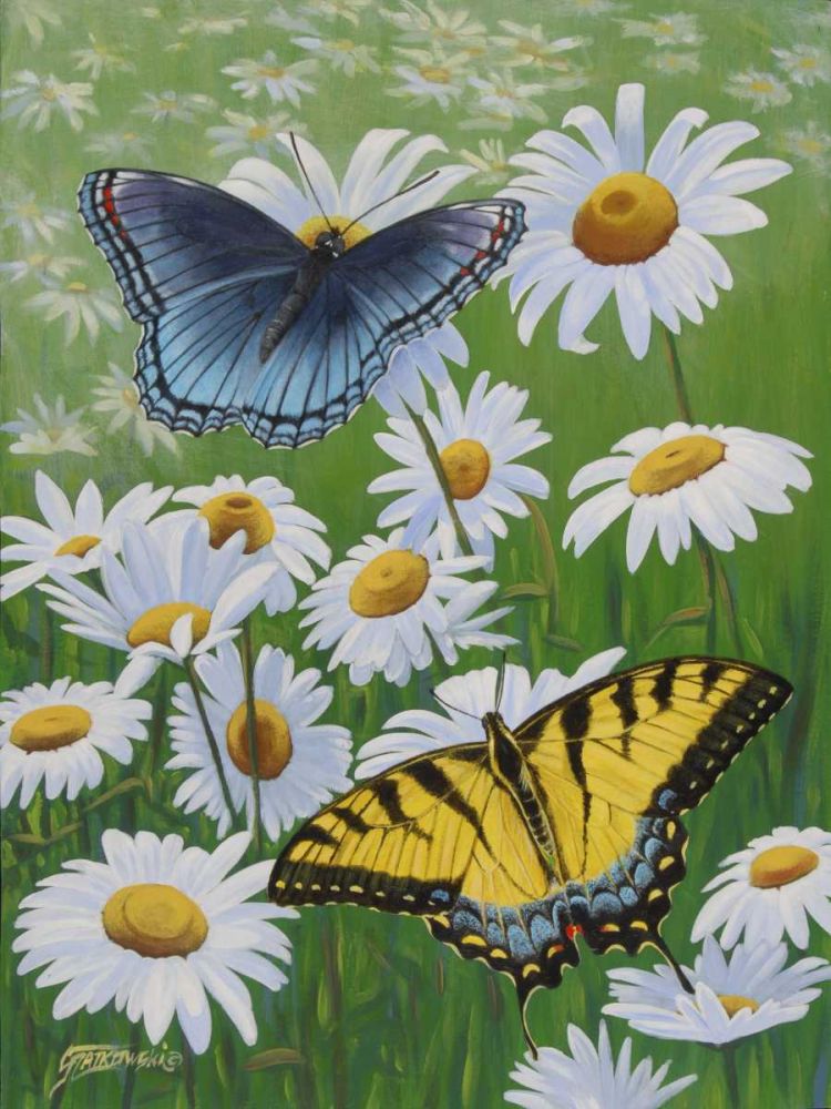 Art Print: Butterflies and Daisies