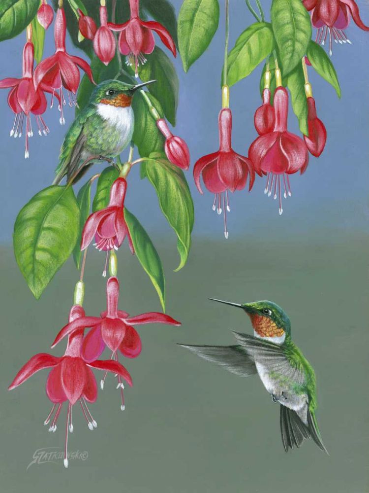 Art Print: Hummers and Fuchsia