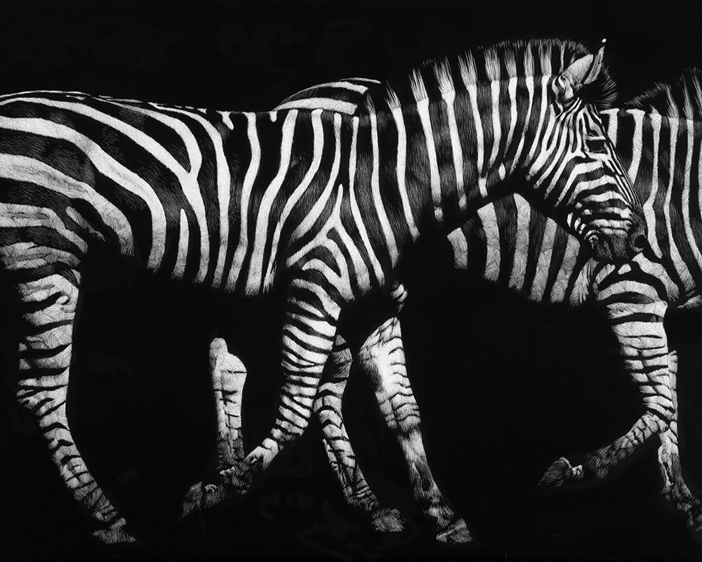 Wall Art Painting id:231181, Name: Op Art, Artist: Chapman, Julie