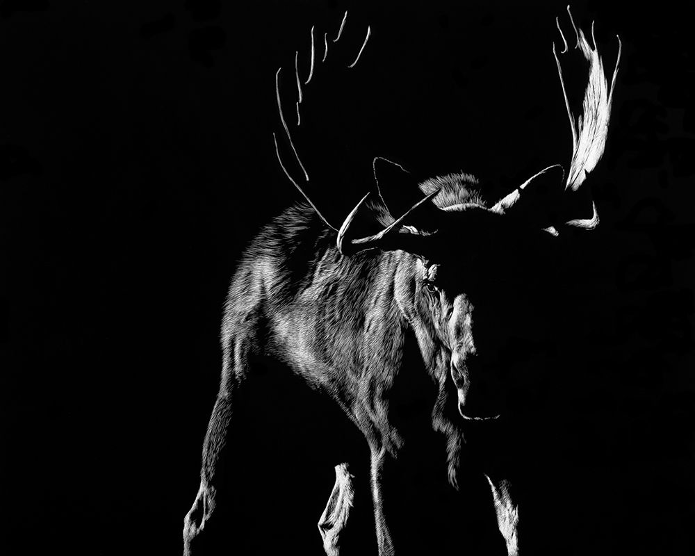 Wall Art Painting id:231183, Name: Bullish, Artist: Chapman, Julie