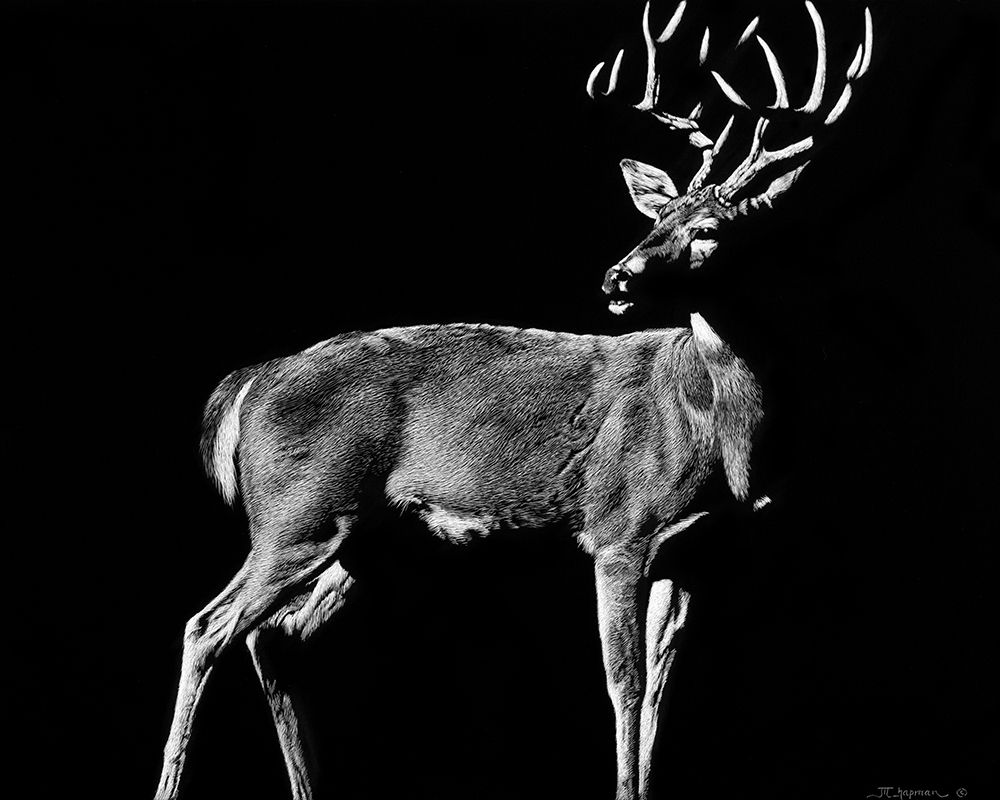 Similar wall art painting: 231184