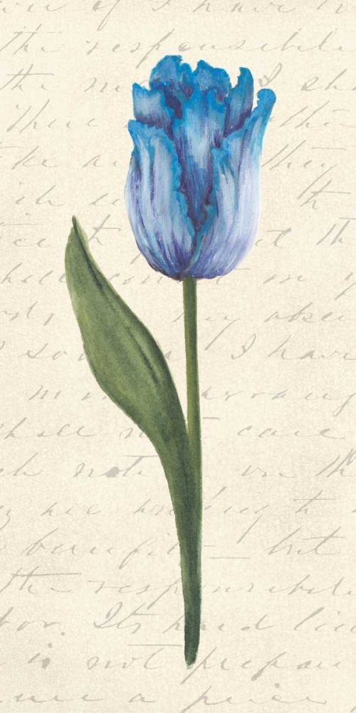 Wall Art Painting id:39247, Name: Twin Tulips III, Artist: Popp, Grace