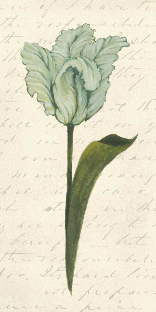 Wall Art Painting id:39249, Name: Twin Tulips V, Artist: Popp, Grace