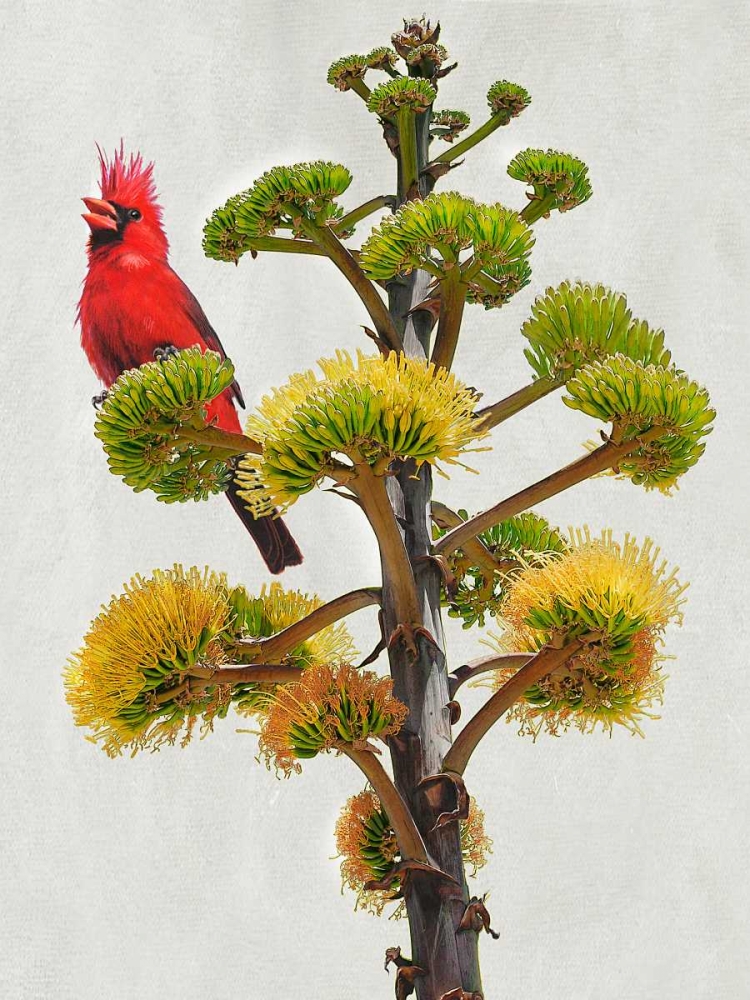 Wall Art Painting id:50431, Name: Avian Tropics I, Artist: Vest, Chris