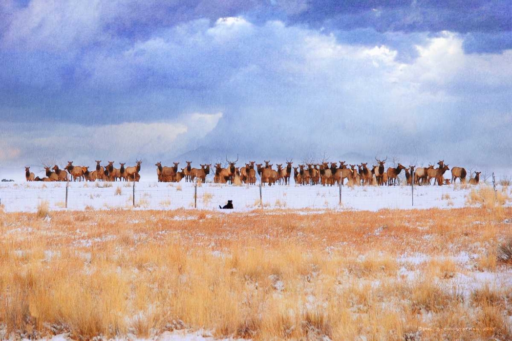 Similar wall art painting: 50434