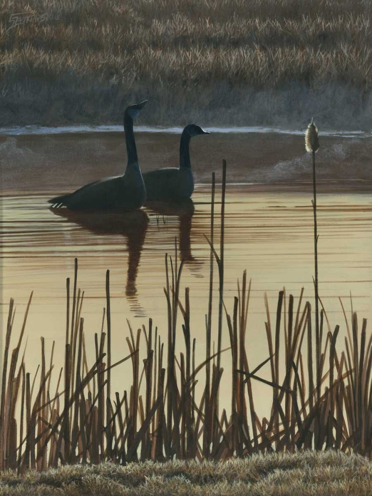 Art Print: First Light I