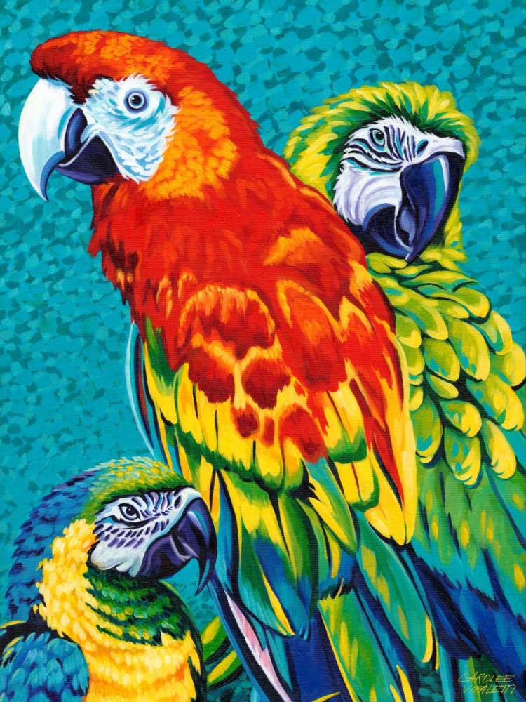 Wall Art Painting id:50141, Name: Birds in Paradise III, Artist: Vitaletti, Carolee