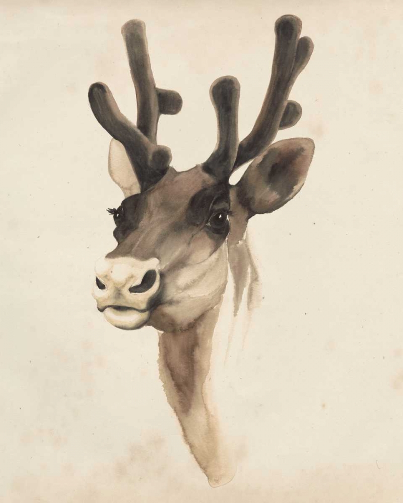 Art Print: Watercolor Animal Study III