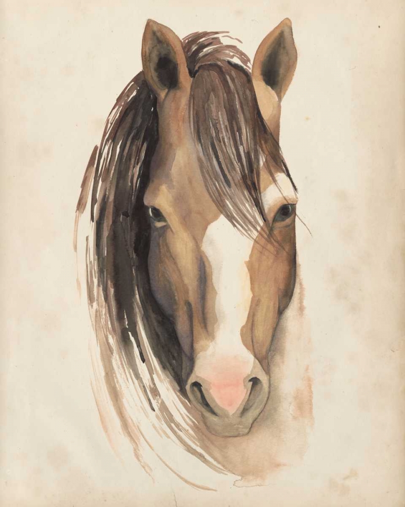 Art Print: Watercolor Animal Study V