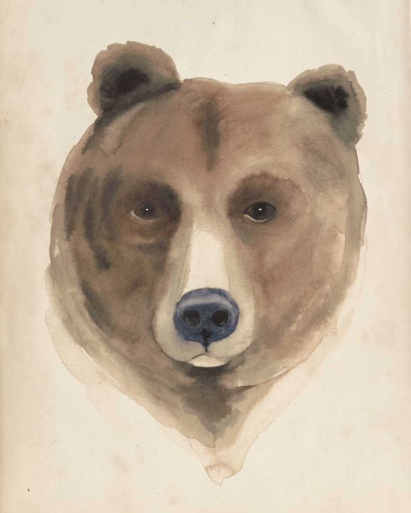 Wall art: Watercolor Animal Study VI, by Popp, Grace