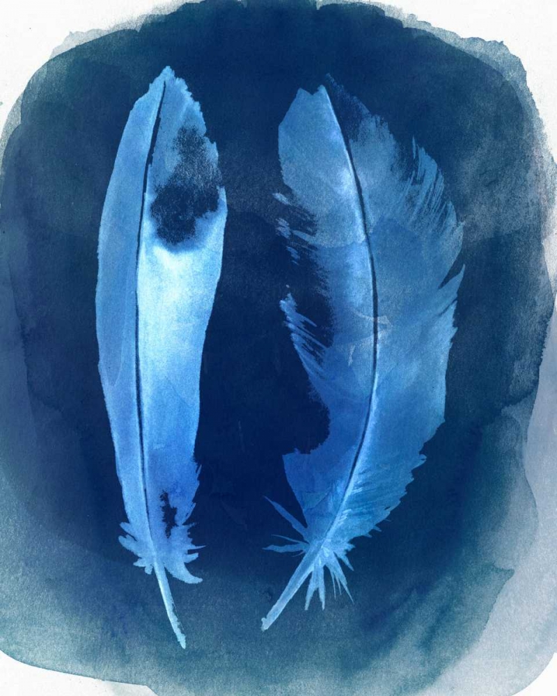 Art Print: Feather Negatives I