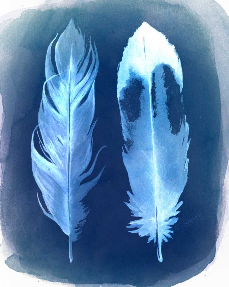 Art Print: Feather Negatives II